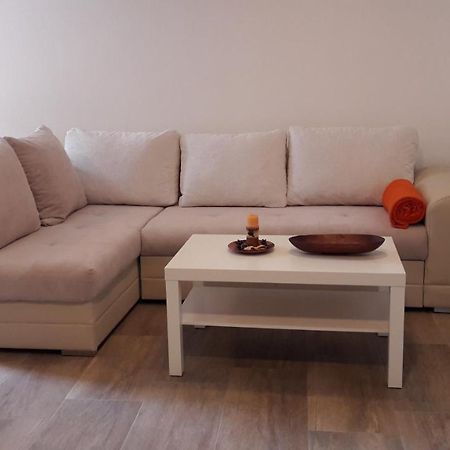 Apartment Nena- Apartman Sa Posebnim Ulazom U Prizemlju, Terasom I Zelenom Okucnicom Rakotule エクステリア 写真