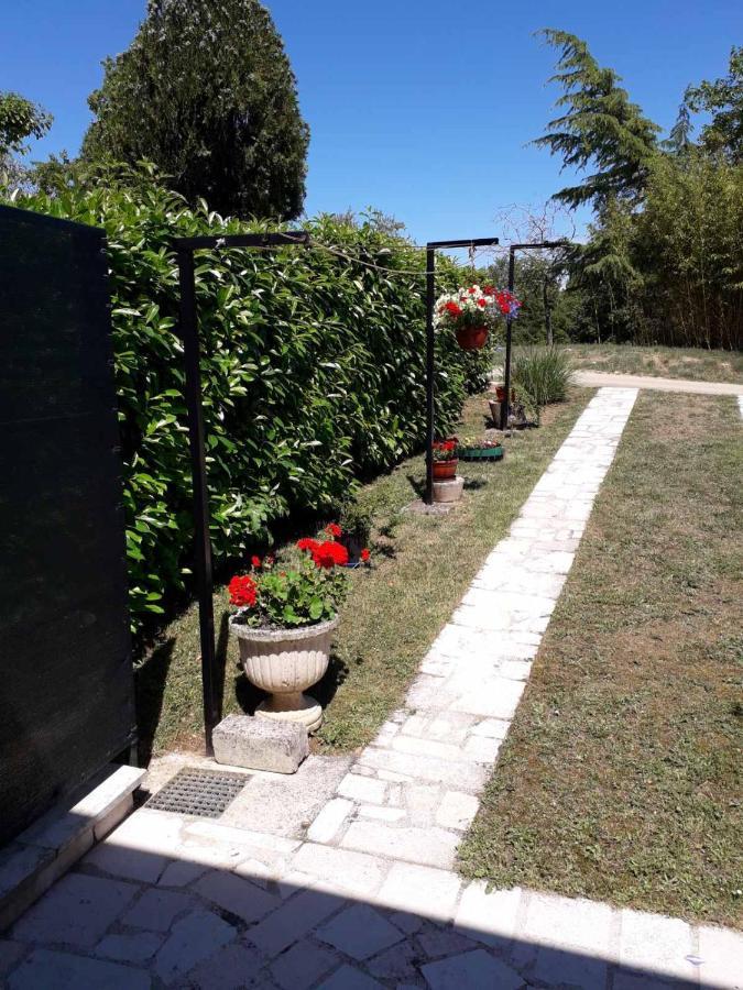 Apartment Nena- Apartman Sa Posebnim Ulazom U Prizemlju, Terasom I Zelenom Okucnicom Rakotule エクステリア 写真