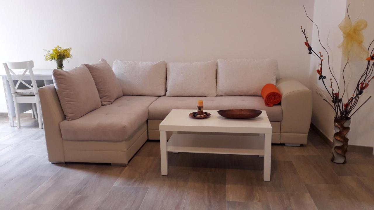 Apartment Nena- Apartman Sa Posebnim Ulazom U Prizemlju, Terasom I Zelenom Okucnicom Rakotule エクステリア 写真